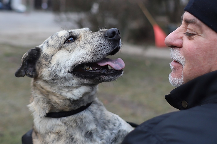 állategészségügyitelep