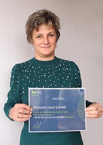 miviz elismeres
