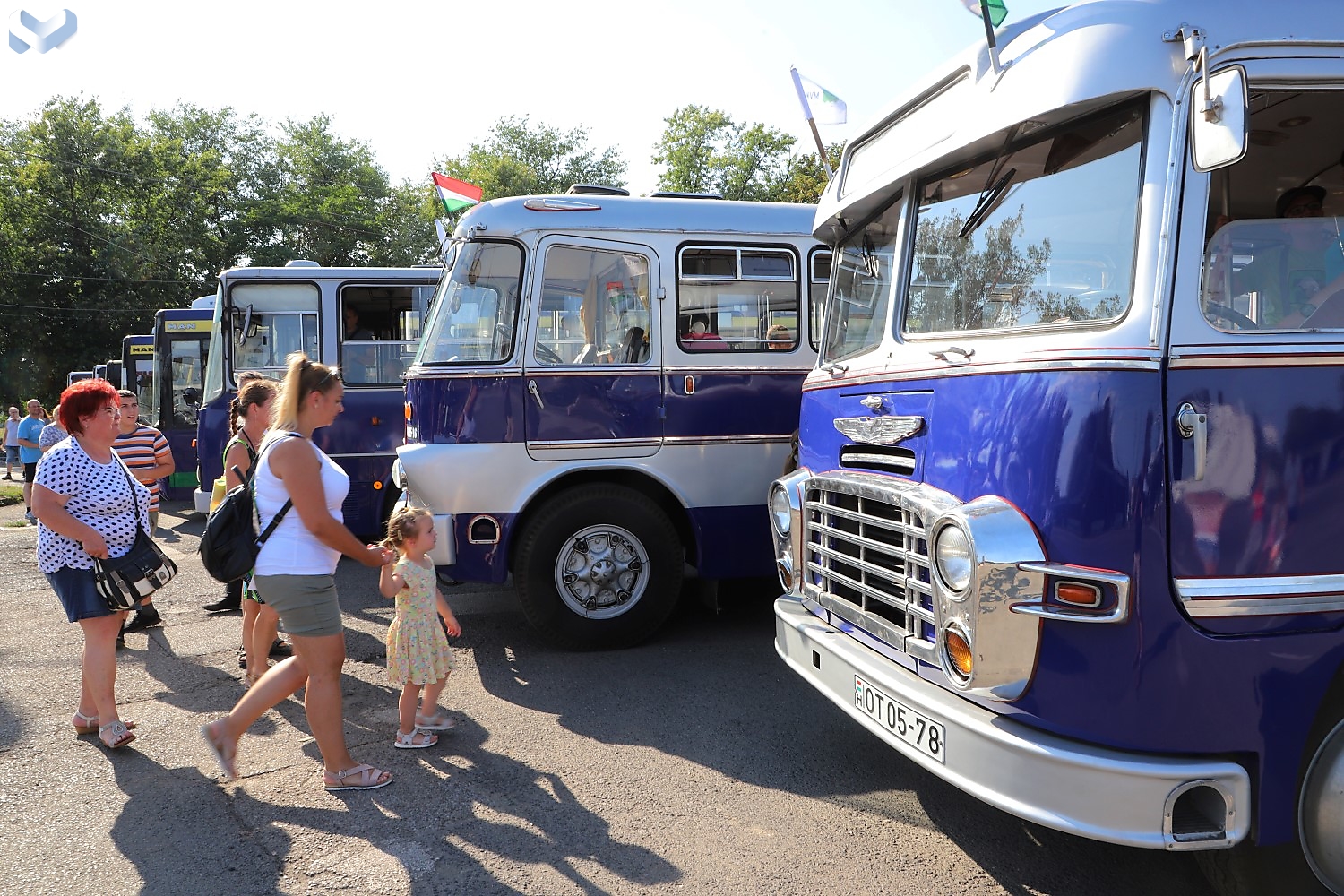 Járműkiállítást szervezett az MVK. Mocsári László képgalériája