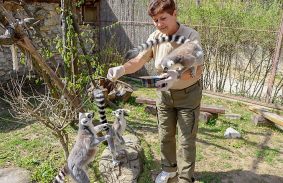 Gondos odafigyelés a Miskolci Állatkertben