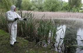 Földi kémiai irtással folytatódik a szúnyoggyérítés Miskolcon