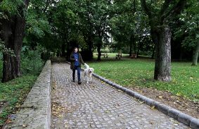 Régi fényében tündökölhet az Avas