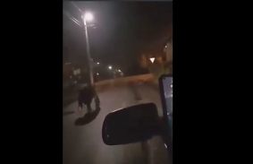 Újabb videó került elő a Miskolcon iszkoló medvéről 