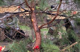 Miskolc Zoo: állati karácsony finom falatokkal