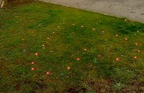 Kedves videóban mond köszönetet Miskolc az egészségügyi dolgozóknak