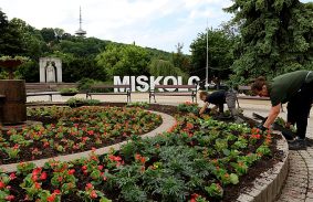 Színes virágok díszítik a köztereket