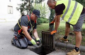 Miskolcon is folyamatosan irtják a rágcsálókat