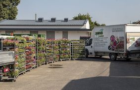 Tizenkétezer virágot kapott ajándékba Miskolc