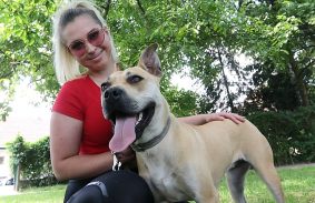 Nyílt nap az Állategészségügyi Telepen