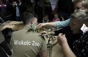 10. ÉjszakáZOO augusztus 27-én