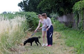 Nyílt nap az Állategészségügyi Telepen