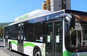 ÉjszakáZOO járatok az Állatkertek éjszakáján