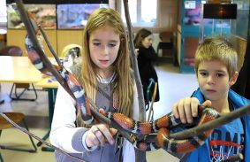 Halloweent tartottak az állatoknál is