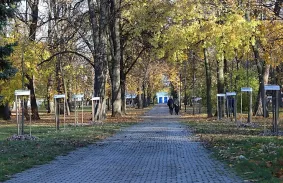 Új fasorral gazdagodott a Népkert