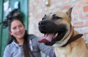 Megható egymásra találások a százötvenedik nyílt napon