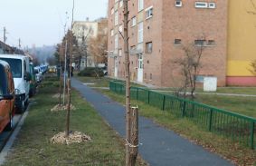 Befejeződött a fasor-rekonstrukció a Tátra és a Torontáli utcákon