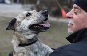 Az év első nyílt napját tartották az Állategészségügyi Telepen