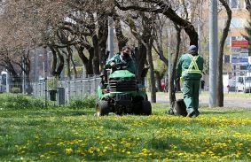 Hétfőn elkezdődik a fűnyírás a városban 