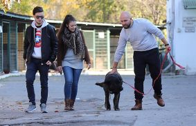 Megint nyílt nap lesz az állategészségügyi telepen 