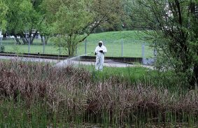 Hatékony volt az idei első szúnyoglárva-irtás Miskolcon 