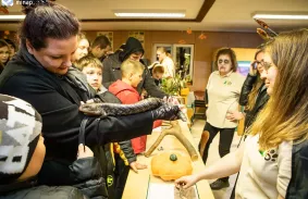 HALLOWEEN ESTET TARTOTTAK AZ ÁLLATKERTBEN