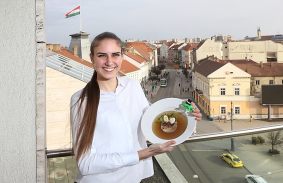 kocsonya