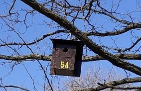 ELINDÍTOTTA AZ ODÚTELEPÍTÉS MÁSODIK ÜTEMÉT A VÁROSGAZDA