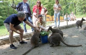 GRÚTÓL AZ ARGÓIG - SCHERER PÉTER MISKOLCON