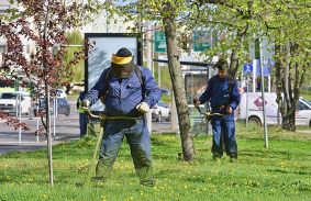 MÁR A MÁSODIK KÖRÖS FŰKASZÁLÁST KEZDIK MISKOLCON