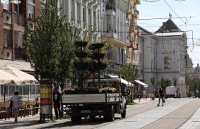 MÁR CSODÁLHATJUK A VIRÁGFÁKAT A MISKOLCI BELVÁROSBAN