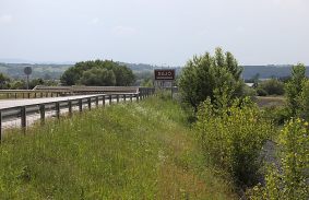 NEM CSAK FELRÖPPENŐ HÍR AZ ÚJ REPTÉR