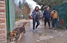 Nyílt nap az Állategészségügyi Telepen