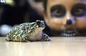 Rettentően jó este az állatkertben