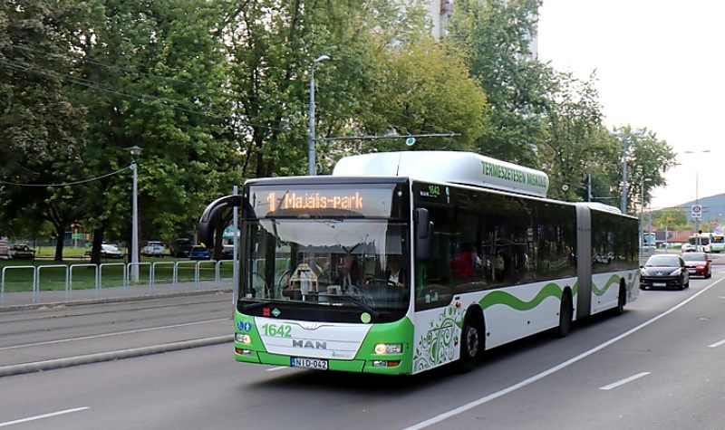 Rásegítő járatokkal készülnek az érettségire