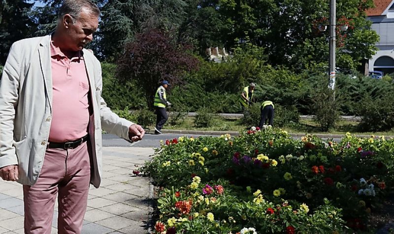 Újra virágba borultak Miskolc közterületei