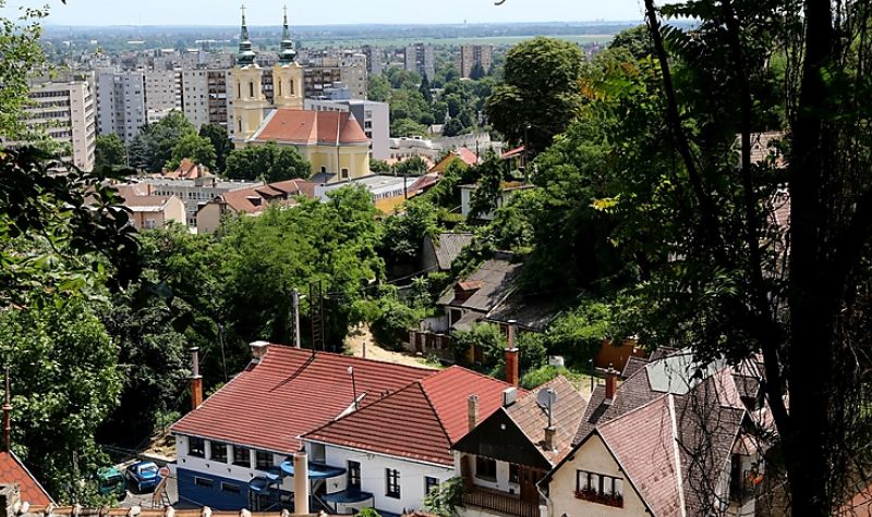 Ismét kitakarítják az Avasi pincesorok környékét