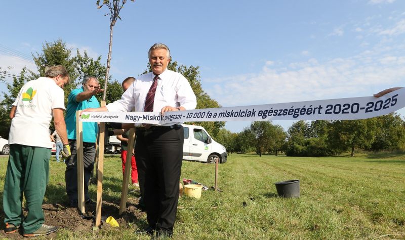 Öt év alatt tízezer fát ültetnek Miskolcon