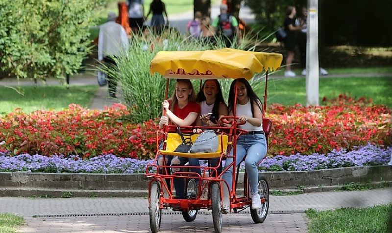 Megkezdődött az egynyári növények ültetése Miskolcon