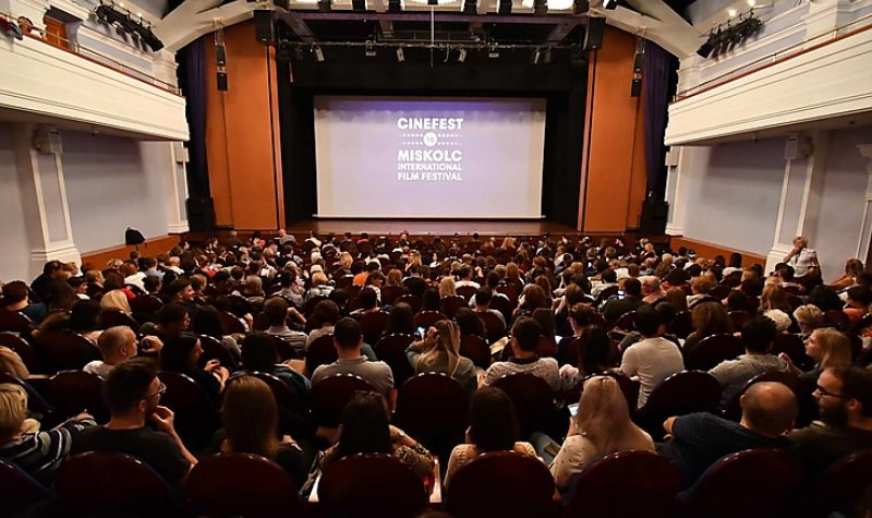 Oscar-jelölt és Arany Pálma-díjas alkotás is szerepel