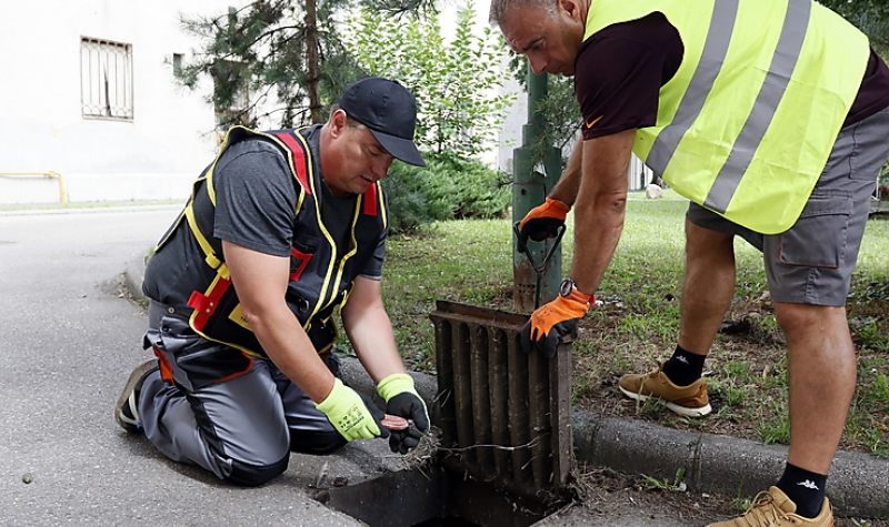 Miskolcon is folyamatosan irtják a rágcsálókat