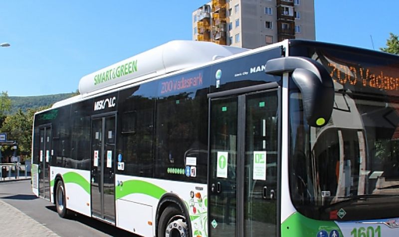 ÉjszakáZOO járatok az Állatkertek éjszakáján