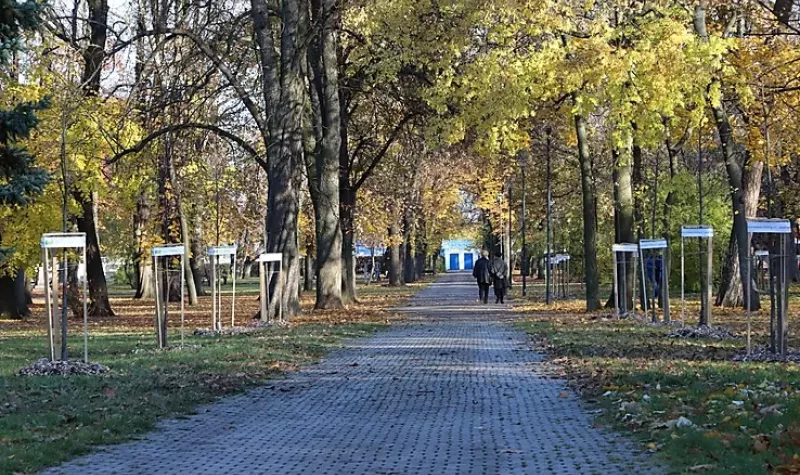 Új fasorral gazdagodott a Népkert