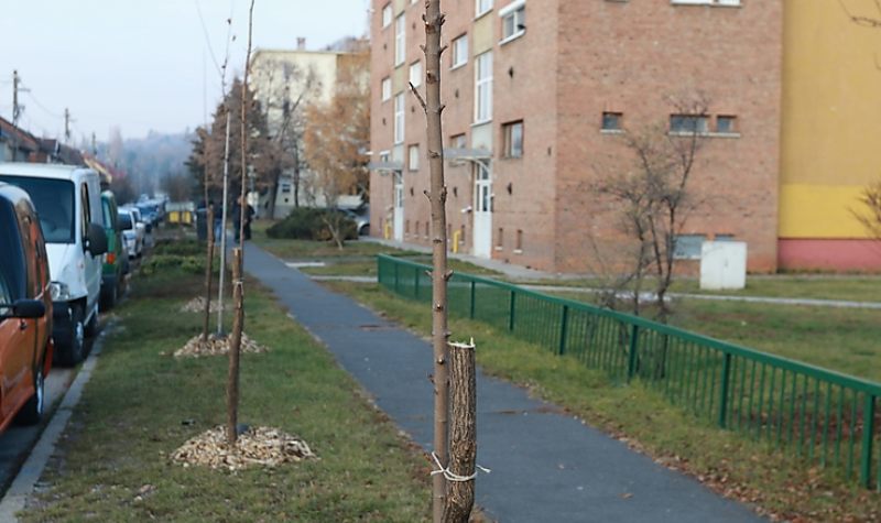 Befejeződött a fasor-rekonstrukció a Tátra és a Torontáli utcákon