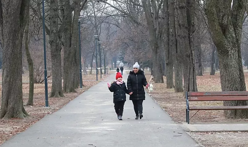 Új „vérkört” kap a város „tüdeje”