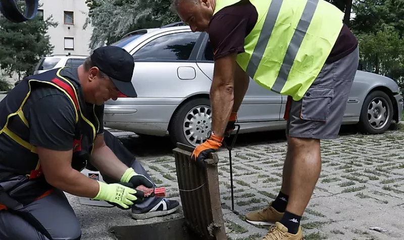 TAVASZI RÁGCSÁLÓIRTÁS MISKOLCON