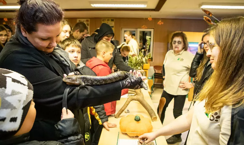 HALLOWEEN ESTET TARTOTTAK AZ ÁLLATKERTBEN