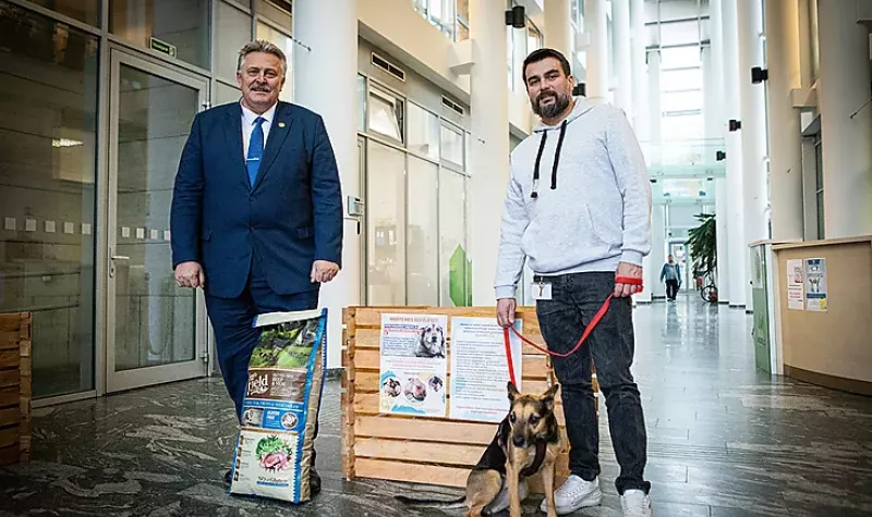 REMÉNYT ADUNK! – GAZDÁTLAN ÁLLATOKNAK INDULT GYŰJTÉS A VÁROSHÁZÁN