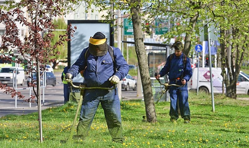 MÁR A MÁSODIK KÖRÖS FŰKASZÁLÁST KEZDIK MISKOLCON