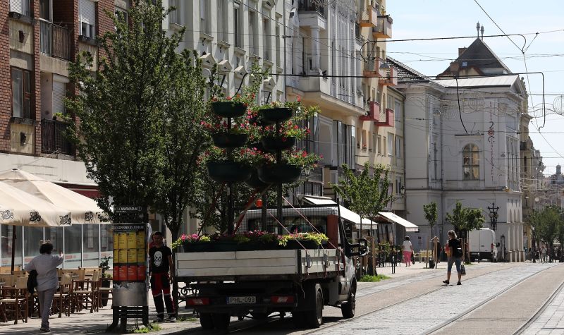 MÁR CSODÁLHATJUK A VIRÁGFÁKAT A MISKOLCI BELVÁROSBAN
